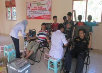 kkn uny gelar aksi donor darah